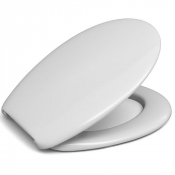 White Plastic Toilet Seat
