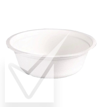 Disposable Plates & Bowls