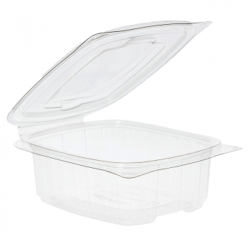 Clear Food Salad Containers with Hinged Lid (Available in 250cc - 1000cc)