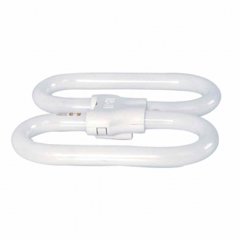 2D 2Pin Compact Fluorescent Lamp - 16W